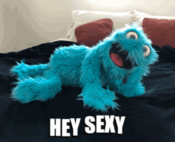 Sexy Funny Cookie Monster  GIF