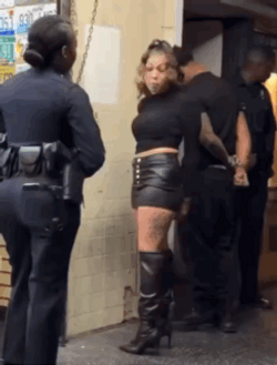 Sexy Girl Arrested GIF