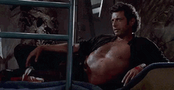 Sexy Jeff Goldblum GIF