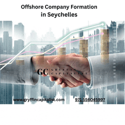 Seychelles Offshore Company Formation Offshore Company Formation In Seychelles Meme GIF