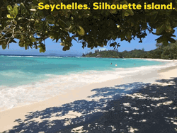 Seychelles Silhouette Island Beach Shore GIF