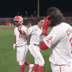 Sf Giants Celebration  GIF