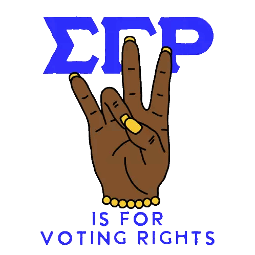 SGP Voting Rights Sign Sticker