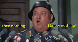 Sgt Schutz I See Nothing I Know Nothing GIF
