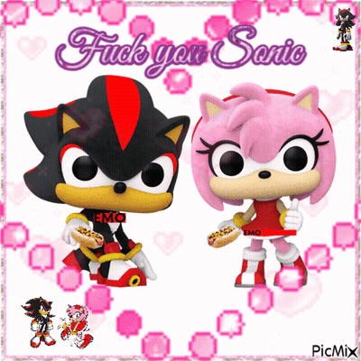 Shadow And Amy Saying Fuck You Sonic GIF