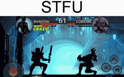 Shadow And Corsair Fighting In Stfu GIF