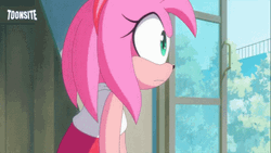 Shadow Carries Amy Rose GIF