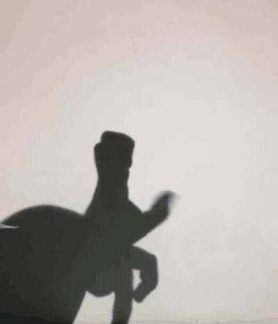 Shadow Hand Making Peace Sign GIF