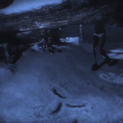 Shadow Of A Person Cast On Ground In Dark GIF