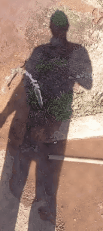 Shadow Of Man Holding Plant GIF