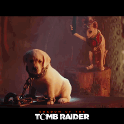 Shadow Of The Tomb Raider Cat Puppy GIF