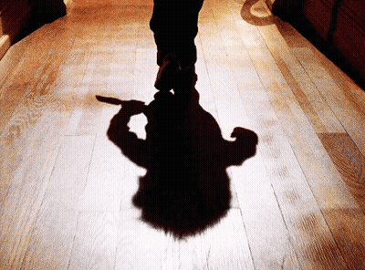 Shadow Person Holding Knife Wood Floor GIF