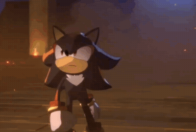 Shadow The Hedgehog And Blaze The Rabbit Standing In Dark Room GIF