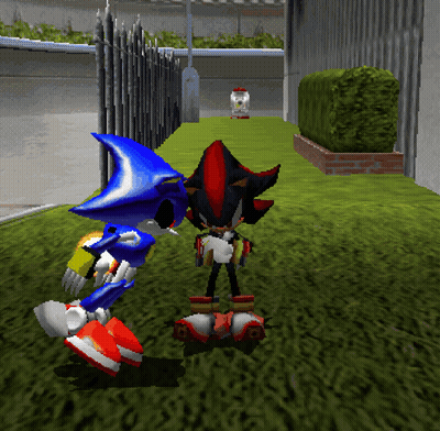 Shadow The Hedgehog And Metal Sonic Are Standing Next To Each Other In A Video Game GIF