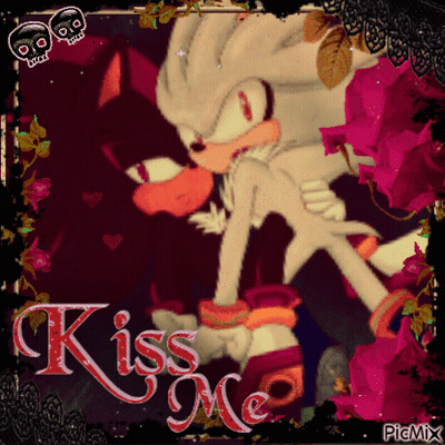 Shadow The Hedgehog And Silver The Hedgehog Kissing GIF