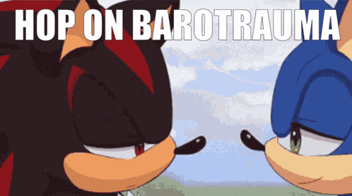 Shadow The Hedgehog And Sonic The Hedgehog Are Standing Next To Each Other With The Words Hop On Barotrauma Above Them GIF