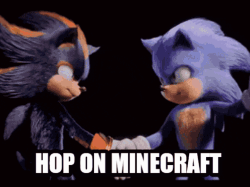 Shadow The Hedgehog And Sonic The Hedgehog Shaking Hands With The Words Hop On Minecraft Above Them GIF