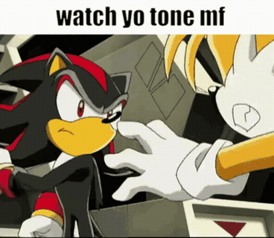 Shadow The Hedgehog And Tails From Sonic The Hedgehog Are Talking To Each Other GIF