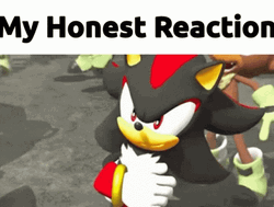 Shadow The Hedgehog Confident Smile GIF