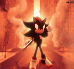Shadow The Hedgehog Fly GIF