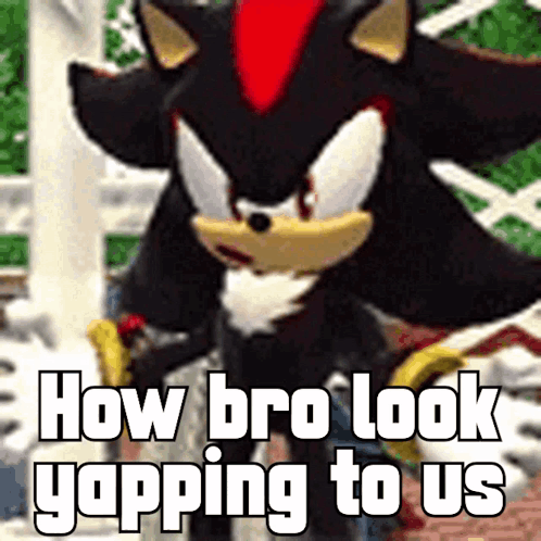 Shadow The Hedgehog From The Video Game Sonic The Hedgehog Says How Bro Look Yapping To Us . GIF