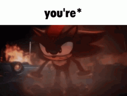 Shadow The Hedgehog Grammar Sensitive GIF