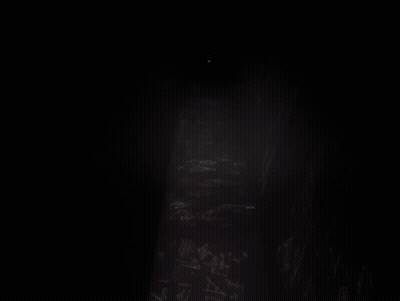 Shadow The Hedgehog In Front Of Math Wall GIF