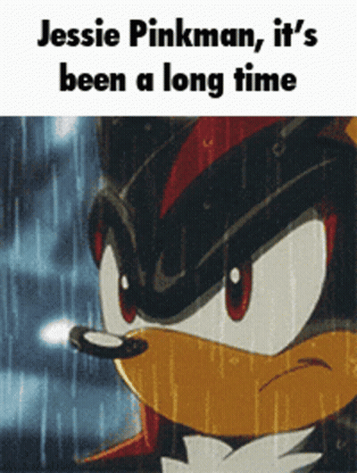 Shadow The Hedgehog Jessie Pinkman It's Been A Long Time GIF