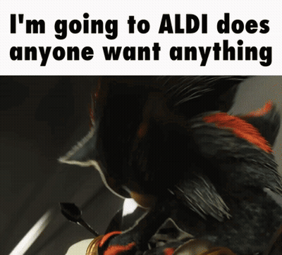 Shadow The Hedgehog Meme Going To Aldi GIF