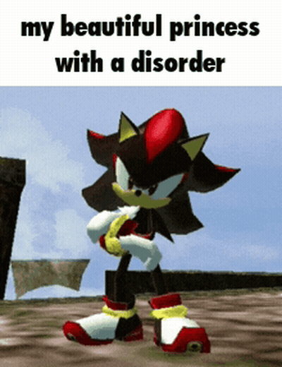 Shadow The Hedgehog My Beautiful Princess With A Disorder GIF