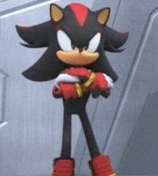 Shadow The Hedgehog No GIF