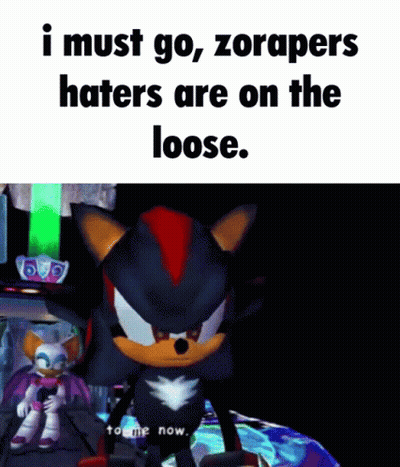 Shadow The Hedgehog Saying I Must Go Zorapers Haters Are On The Loose To Me Now GIF