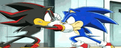 Shadow The Hedgehog Sonic Fighting GIF