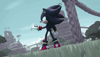 Shadow The Hedgehog Standing In Grass With Checkered Field GIF