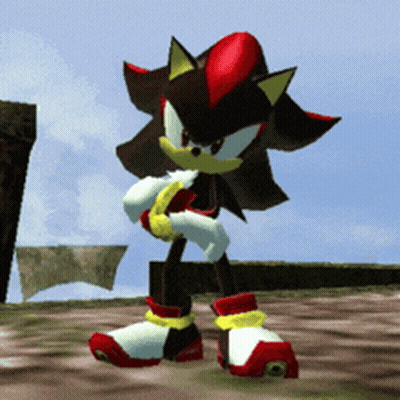 Shadow The Hedgehog Standing On Dock GIF
