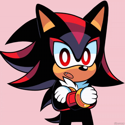 Shadow The Hedgehog With Red Ring GIF