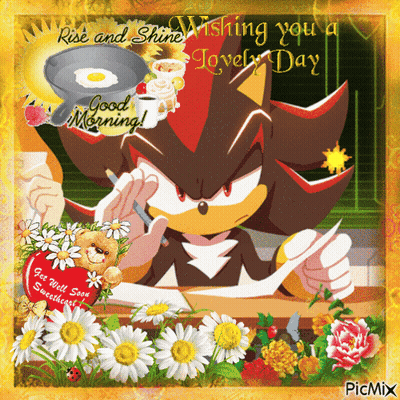 Shadow the Hedgehog Writing on Paper With Flowers