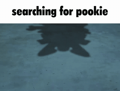 Shadow With Searching For Pookie GIF