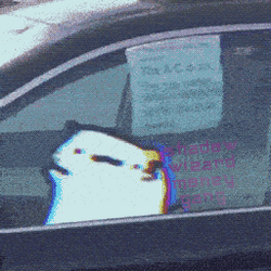 Shadow Wizard Money Gang Cat  GIF