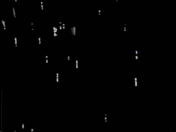 Shadow Wizard Money Gang Globe  GIF