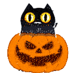 Shadowkitty Kitty Sticker GIF