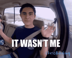 Shaggy It Wasnt Me Hands Up Chris GIF