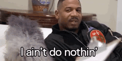 Shaggy It Wasnt Me Innocent Stevie GIF