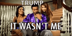 Shaggy It Wasnt Me Trump Meme GIF