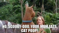 Shaggy On Scooby Your Mom Eats Cat Poop GIF