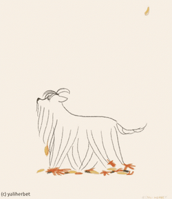 Shaggy Walks On Falling Leaves GIF