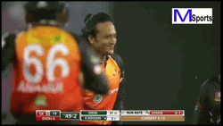 Shakib Al Hasan High Five Celebration GIF