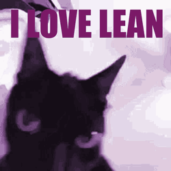 Shaking Cat Loves Lean GIF