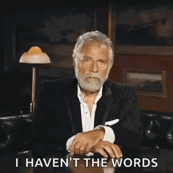 Shaking Head With No Words GIF