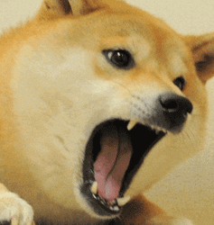 Shaking Shout Dog Meme GIF